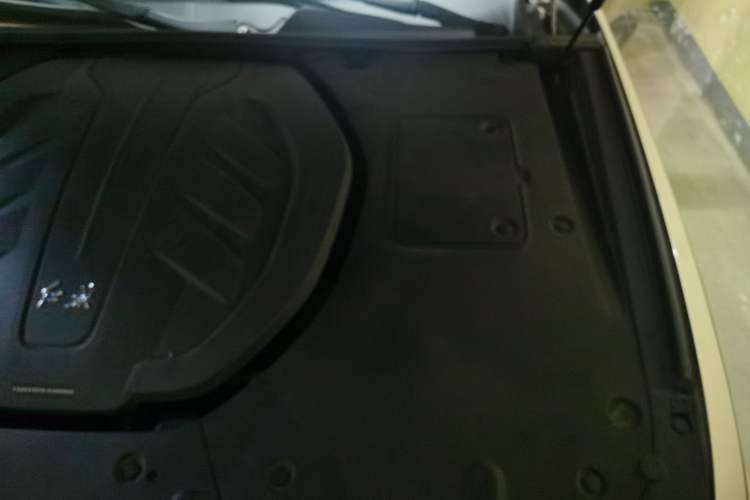 Used Hongqi H9 2020 3.0T Smart Connect Flagship Four-Seat Version Engine Bay Left