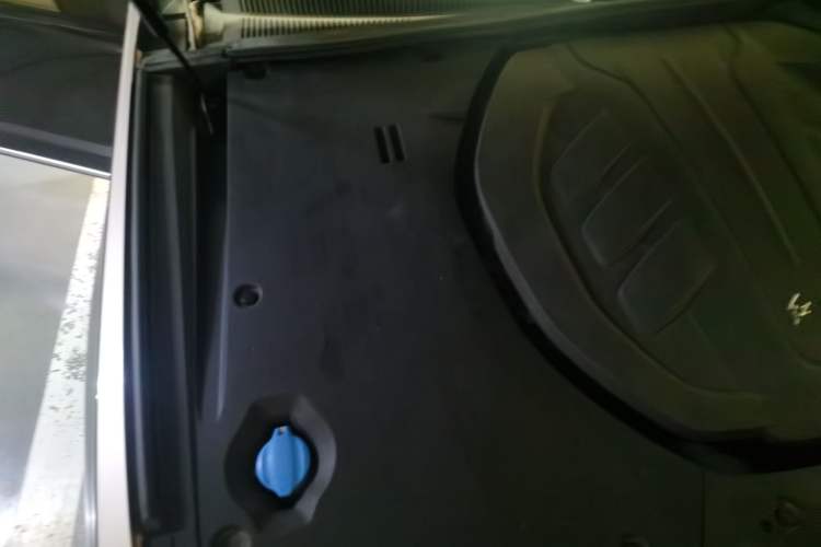 Used Hongqi H9 2020 3.0T Smart Connect Flagship Four-Seat Version Engine Bay Right