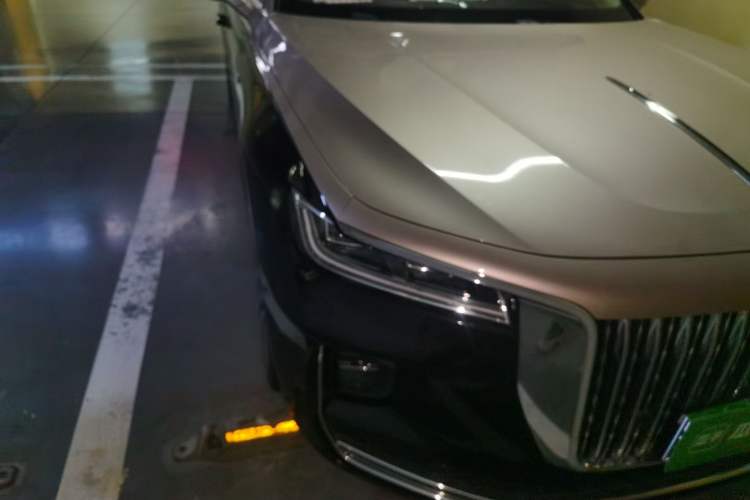 Used Hongqi H9 2020 3.0T Smart Connect Flagship Four-Seat Version Exterior 3
