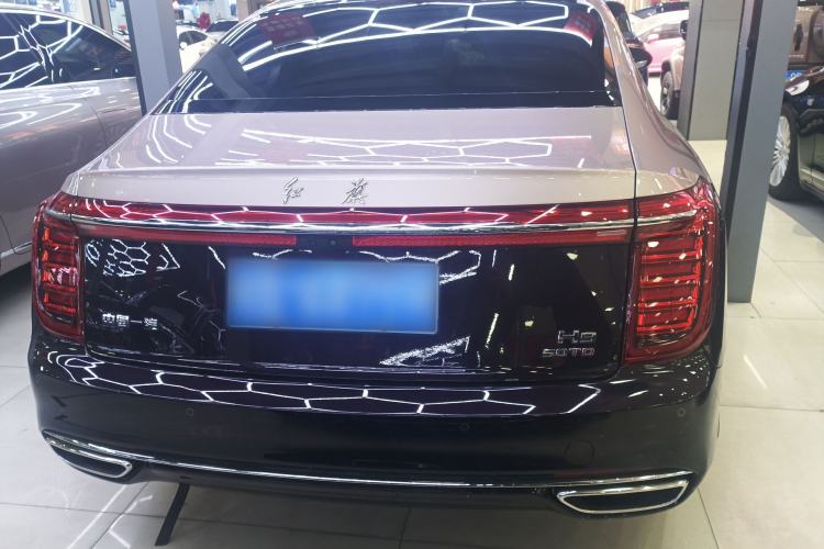 Used Hongqi H9 2020 3.0T Smart Connect Flagship Four-Seat Version Exterior 4