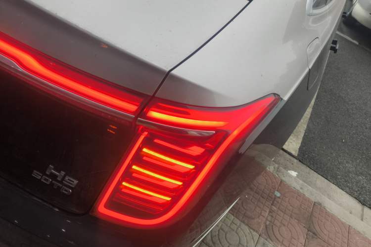 Used Hongqi H9 2020 3.0T Smart Connect Flagship Four-Seat Version Exterior 6