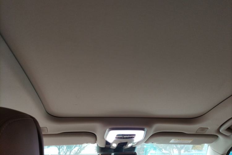 Used Hongqi H9 2020 3.0T Smart Connect Flagship Edition Headliner