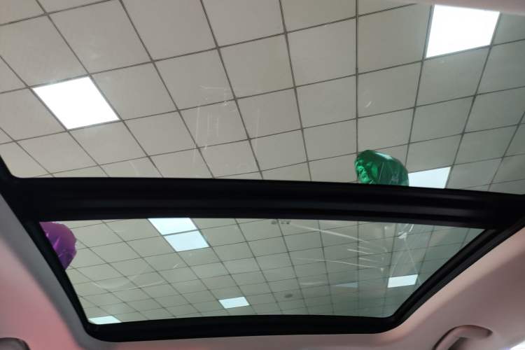 Used Hongqi H9 2020 2.0T Smart Connect Flagship Edition Headliner