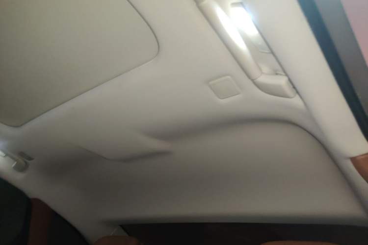 Used Hongqi H9 2020 2.0T Smart Connect Flagship Edition Headliner