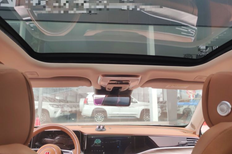 Used Hongqi H9 2020 2.0T Smart Connect Flagship Edition Headliner