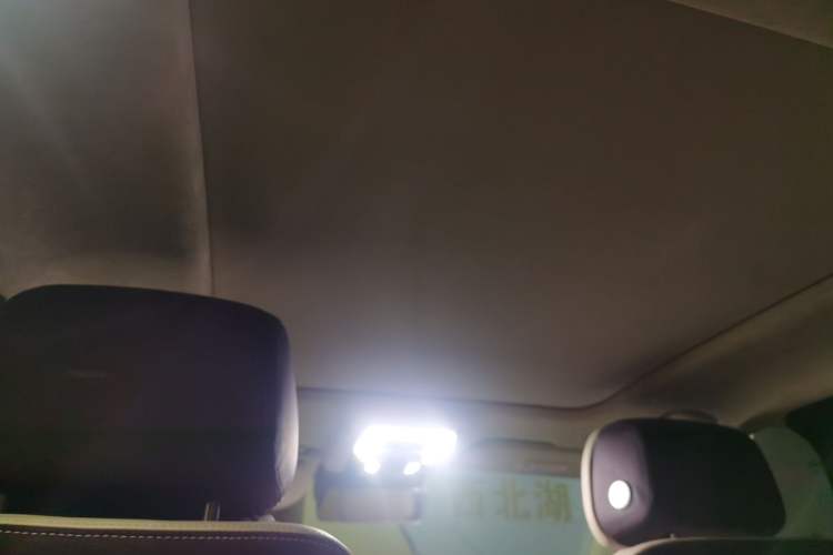 Used Hongqi H9 2020 3.0T Smart Connect Flagship Four-Seat Version Headliner
