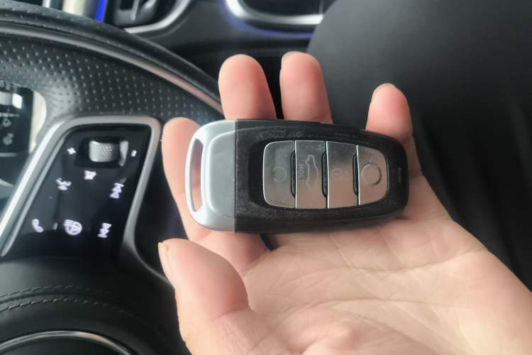 Used Hongqi H9 2020 3.0T Smart Connect Flagship Four-Seat Version Interior 1