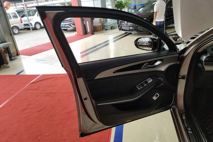 Used Hongqi H9 2020 2.0T Smart Connect Flagship Edition Left Front Door Interior