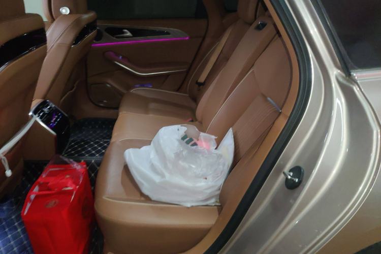 Used Hongqi H9 2020 2.0T Smart Connect Flagship Edition Left Rear Seat