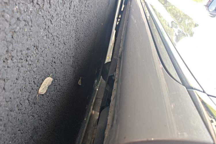 Used Hongqi H9 2020 2.0T Smart Connect Flagship Edition Left Side Sill