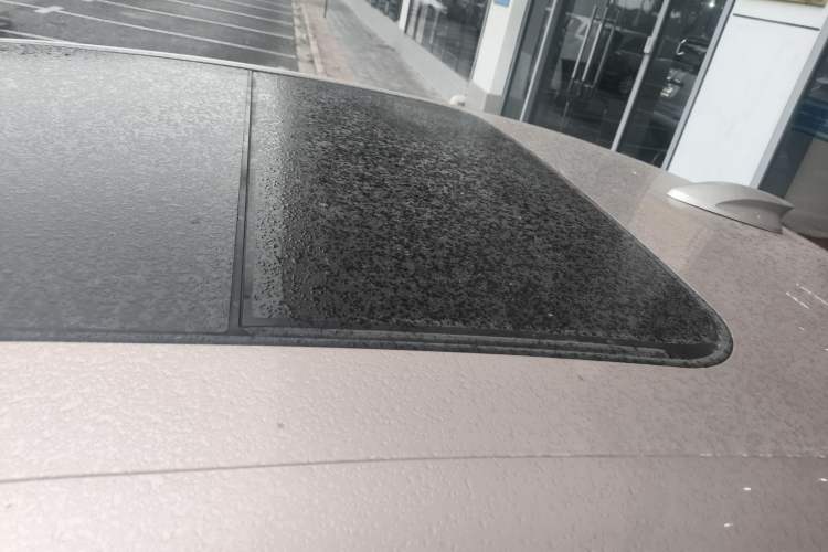 Used Hongqi H9 2020 3.0T Smart Connect Flagship Four-Seat Version Roof