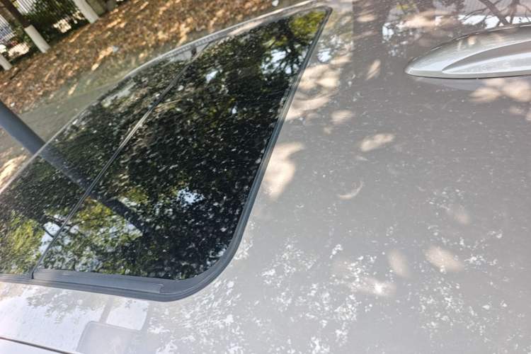 Used Hongqi H9 2020 2.0T Smart Connect Flagship Edition Roof