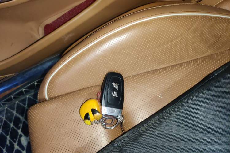 Used Hongqi H9 2020 2.0T Smart Connect Flagship Edition Vehicle Key