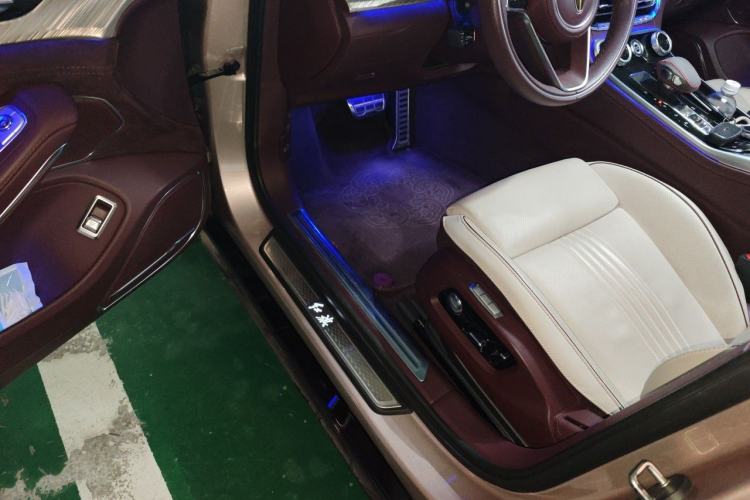 Used Hongqi H9 2020 3.0T Smart Connect Flagship Four-Seat Version Driver Seat