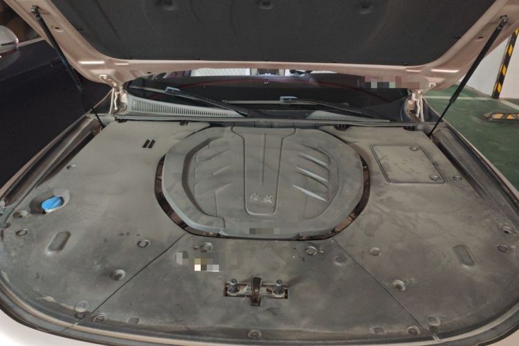 Used Hongqi H9 2020 3.0T Smart Connect Flagship Four-Seat Version Engine Bay