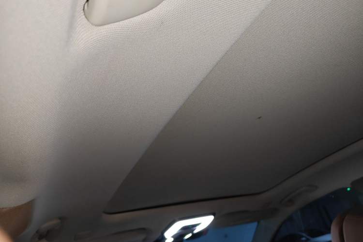 Used Hongqi H9 2020 2.0T Smart Connect Flagship Edition Headliner