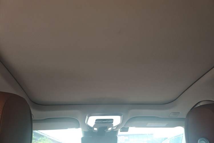 Used Hongqi H9 2020 2.0T Smart Connect Flagship Edition Headliner