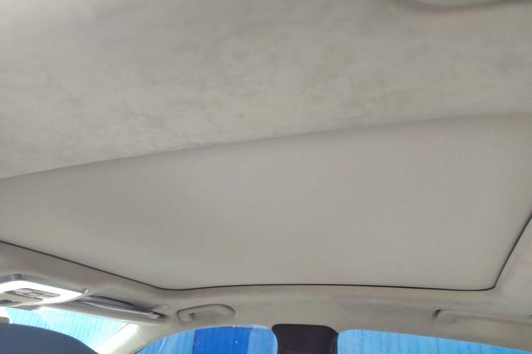 Used Hongqi H9 2020 3.0T Smart Connect Flagship Four-Seat Version Headliner