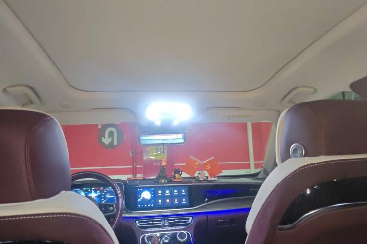 Used Hongqi H9 2020 2.0T Smart Connect Flagship Edition Headliner