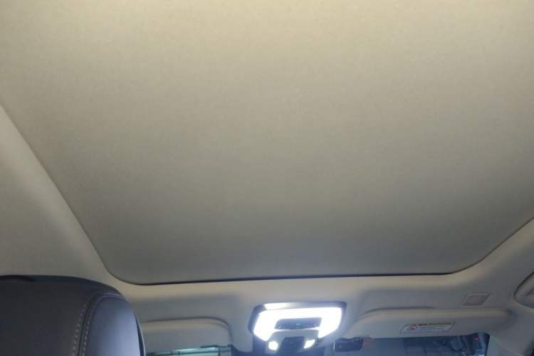 Used Hongqi H9 2020 2.0T Smart Connect Flagship Edition Headliner