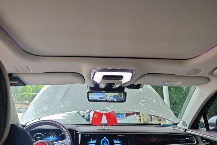 Used Hongqi H9 2020 3.0T Smart Connect Flagship Edition Headliner