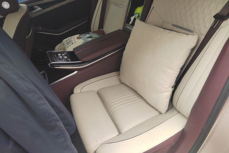 Used Hongqi H9 2020 3.0T Smart Connect Flagship Four-Seat Version Left Rear Seat