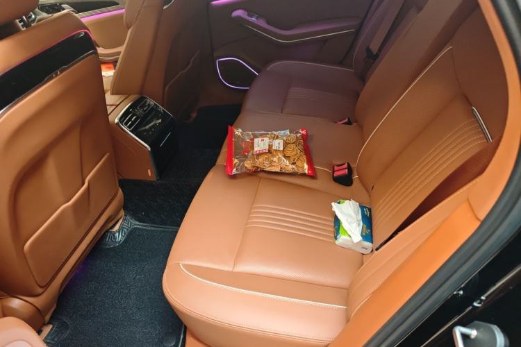 Used Hongqi H9 2020 2.0T Smart Connect Flagship Edition Left Rear Seat