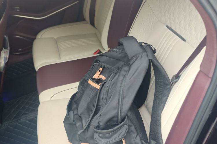 Used Hongqi H9 2020 2.0T Smart Connect Flagship Edition Left Rear Seat