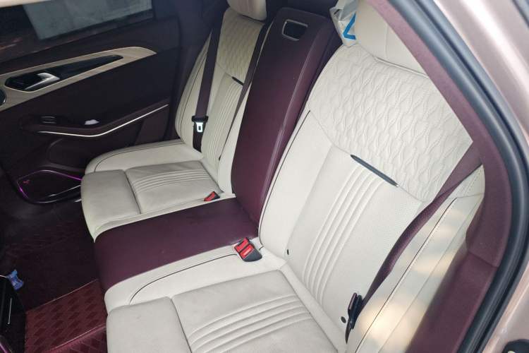 Used Hongqi H9 2020 3.0T Smart Connect Flagship Edition Left Rear Seat