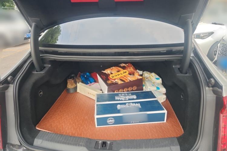Used Hongqi H9 2020 2.0T Smart Connect Flagship Edition Trunk