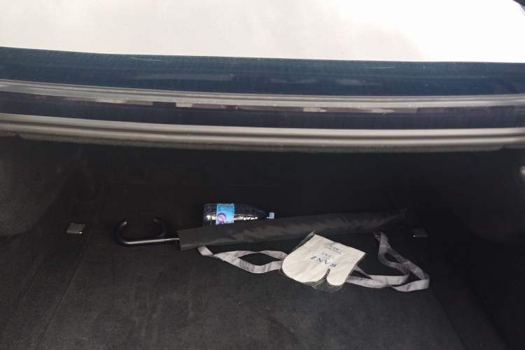 Used Hongqi H9 2020 2.0T Smart Connect Flagship Edition Trunk
