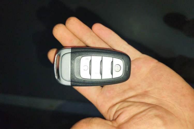 Used Hongqi H9 2020 2.0T Smart Connect Flagship Edition Vehicle Key