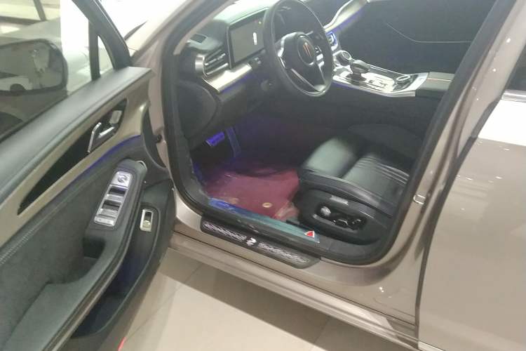 Used Hongqi H9 2020 2.0T Smart Connect Flagship Edition Driver Seat
