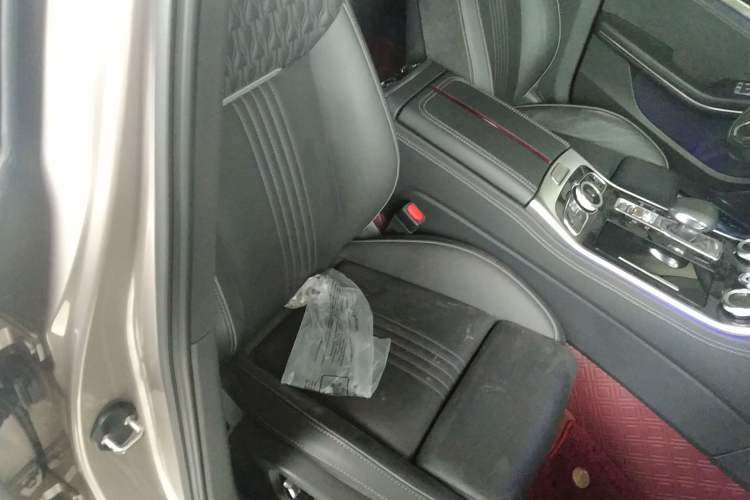 Used Hongqi H9 2020 2.0T Smart Connect Flagship Edition Right Front Seat