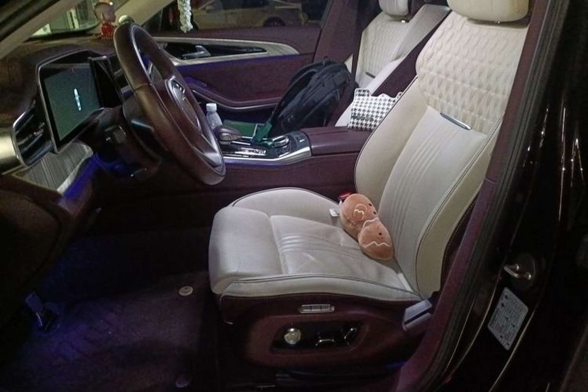 Used Hongqi H9 2020 2.0T Smart Connect Flagship Edition Left Front Seat