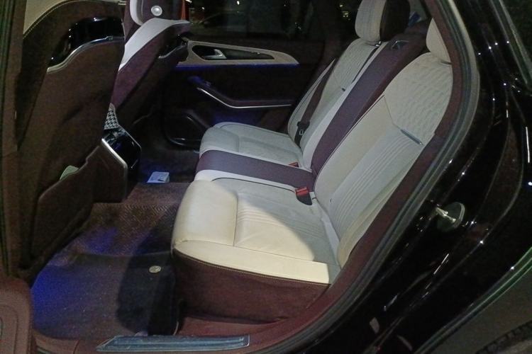 Used Hongqi H9 2020 2.0T Smart Connect Flagship Edition Left Rear Seat