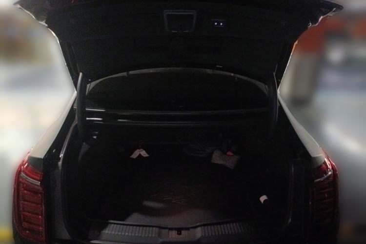 Used Hongqi H9 2020 2.0T Smart Connect Flagship Edition Trunk