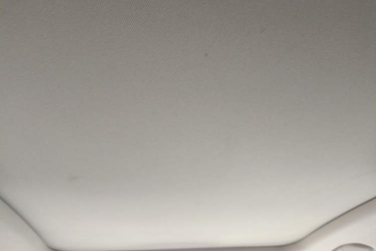 Used Hongqi H9 2020 2.0T Smart Connect Flagship Edition Headliner