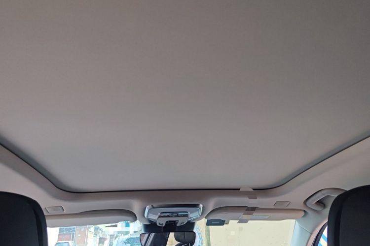 Used Hongqi H9 2020 2.0T Smart Connect Flagship Edition Headliner