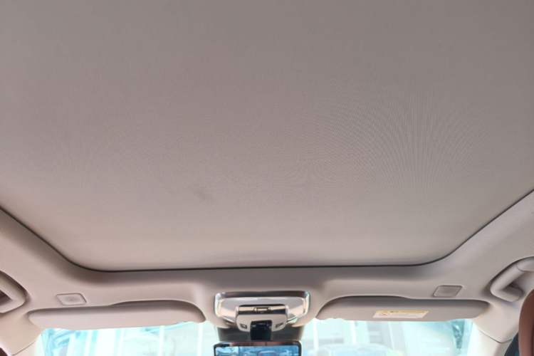 Used Hongqi H9 2020 2.0T Smart Connect Flagship Edition Headliner