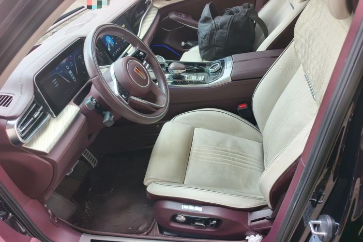 Used Hongqi H9 2020 2.0T Smart Connect Flagship Edition Left Front Seat