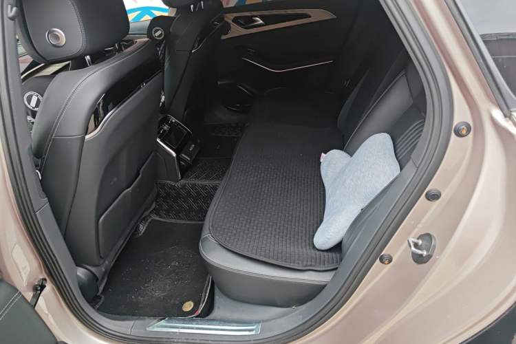 Used Hongqi H9 2020 2.0T Smart Connect Flagship Edition Left Rear Seat