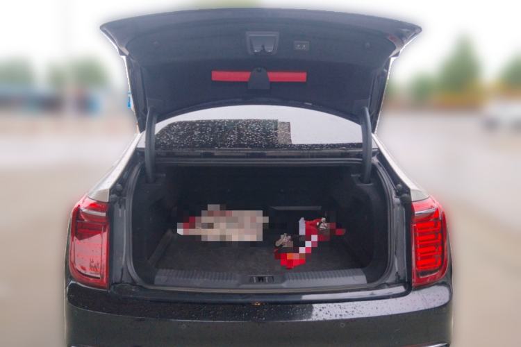 Used Hongqi H9 2020 3.0T Smart Connect Flagship Four-Seat Version Trunk