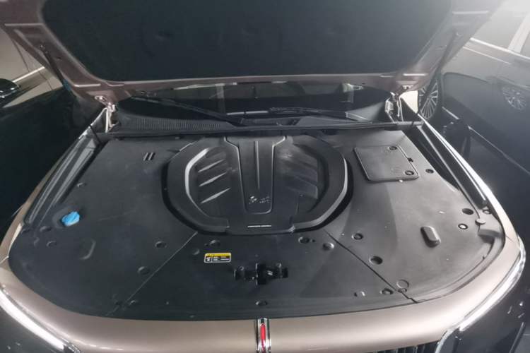 Used Hongqi H9 2020 3.0T Smart Connect Flagship Four-Seat Version Engine Bay