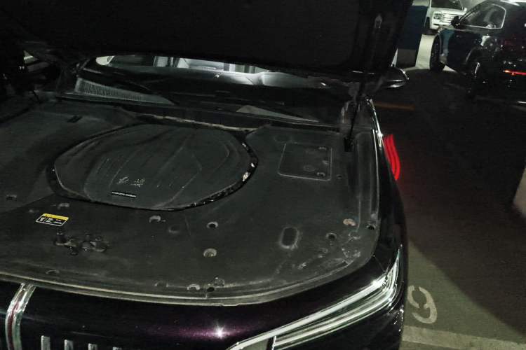 Used Hongqi H9 2020 2.0T Smart Connect Flagship Edition Engine Bay Left