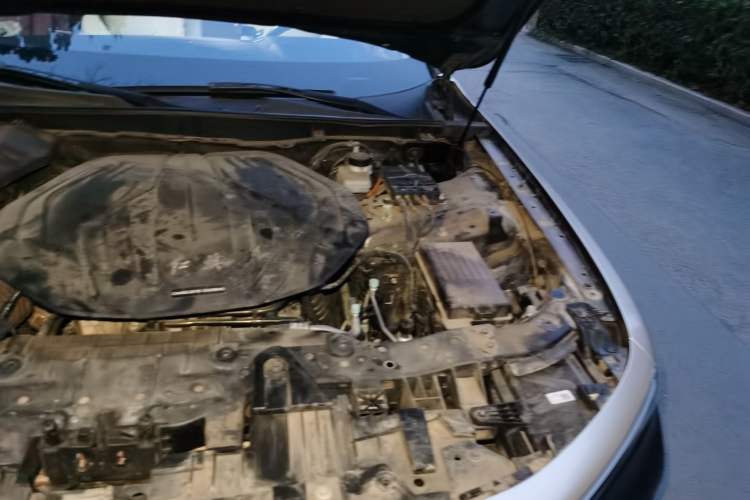 Used Hongqi H9 2020 2.0T Smart Connect Flagship Edition Engine Bay Left