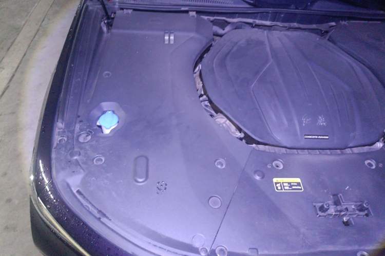 Used Hongqi H9 2020 2.0T Smart Connect Flagship Edition Engine Bay Right