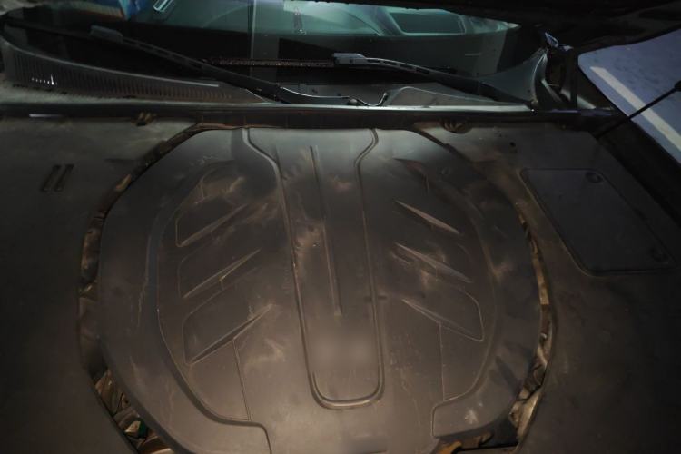 Used Hongqi H9 2020 3.0T Smart Connect Flagship Edition Engine Bay