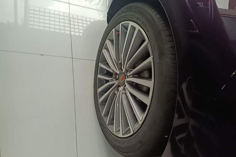 Used Hongqi H9 2020 3.0T Smart Connect Flagship Edition Exterior 5