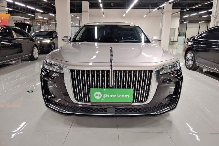 Used Hongqi H9 2020 3.0T Smart Connect Flagship Four-Seat Version Exterior 8